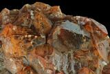 9.1" Natural, Red Quartz Crystal Cluster - Morocco - #131359-4